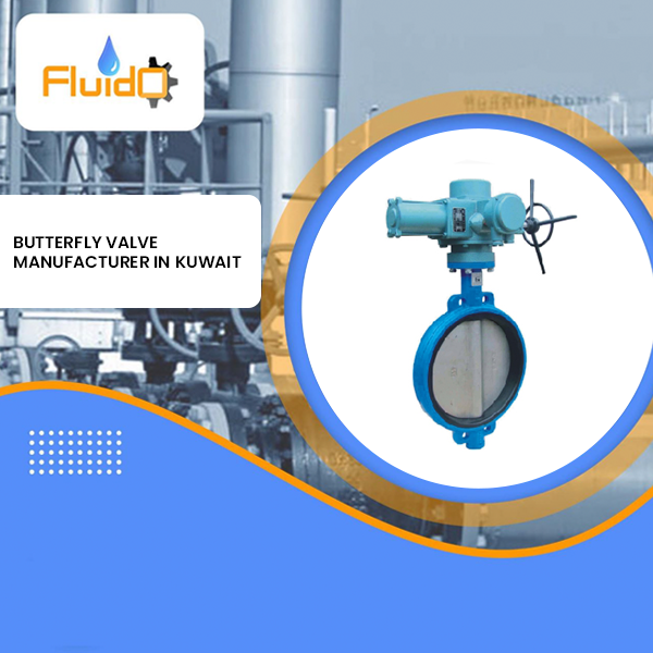 Butterfly Valve Manufacturer in Kuwait