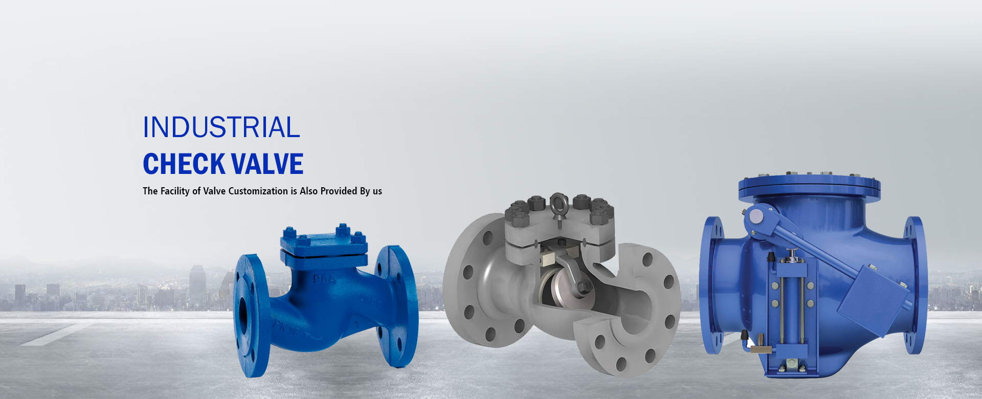 Industrial Check Valves manufacturers