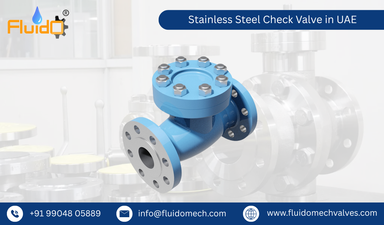 Stainless Steel Check Valve in UAE