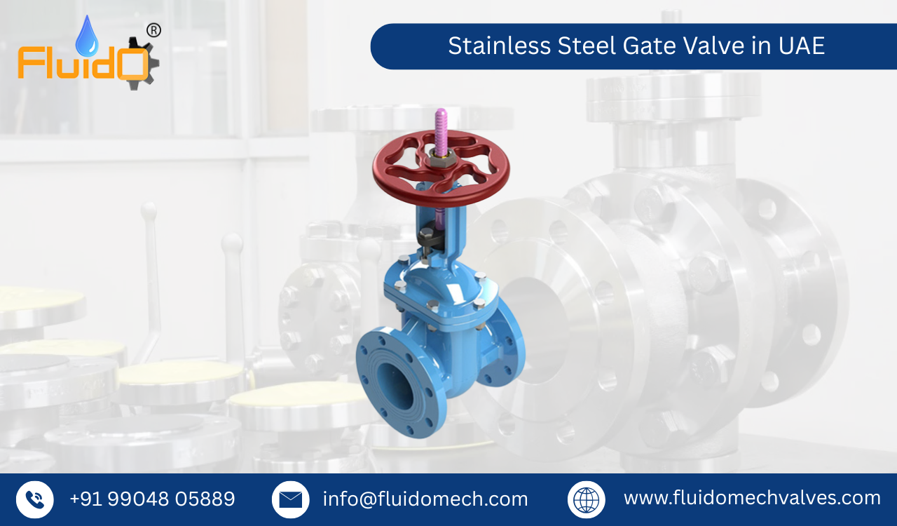 Stainless Steel Gate Valve in UAE